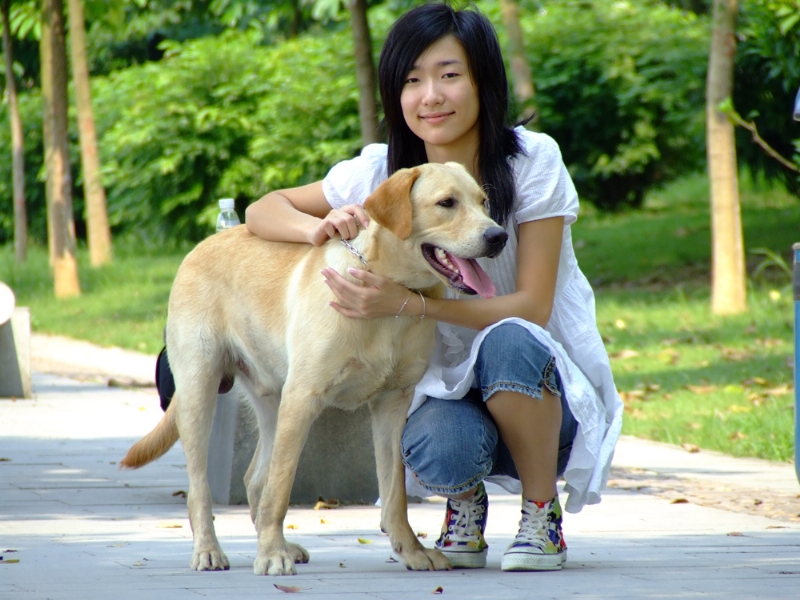 风中的绿叶的第一张照片--烟台相亲服务中心