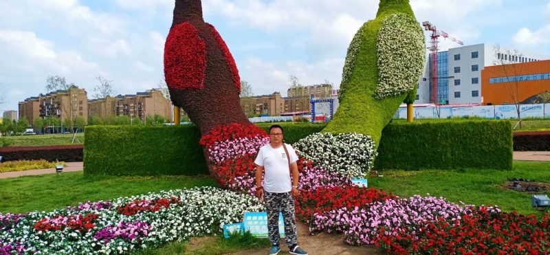 尘埃的第一张照片--烟台相亲服务中心