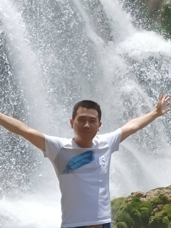 挪威森林的第二张照片--烟台相亲服务中心