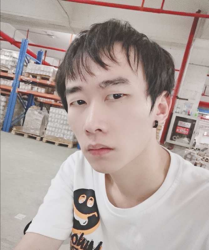 巷子里的猫的第一张照片--烟台相亲服务中心