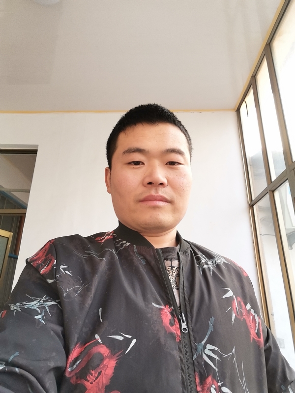 会飞的猪的第一张照片--烟台相亲服务中心