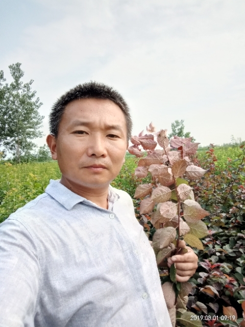 孩子爸的第二张照片--烟台相亲服务中心