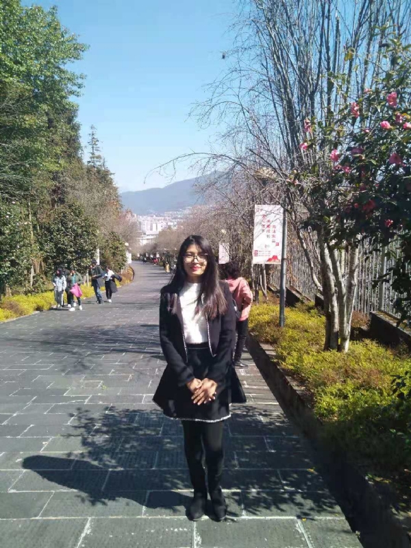 窗台上的桔梗的第一张照片--烟台相亲服务中心