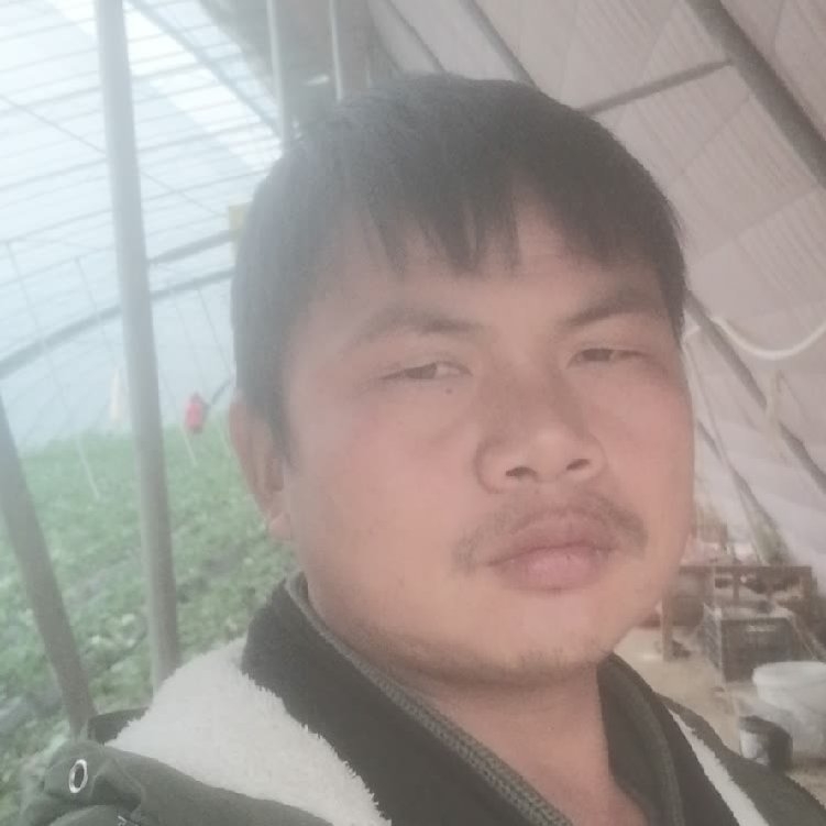 孤狼‘的第一张照片--烟台相亲服务中心