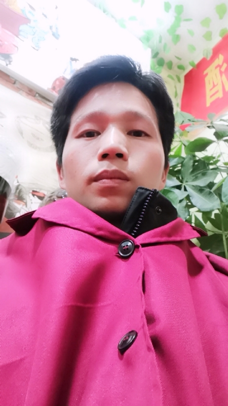 单身的林凡的第一张照片--烟台相亲服务中心