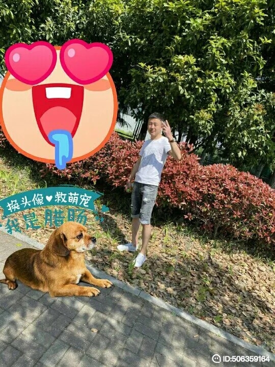 我若不坚强谁替我勇敢的第一张照片--烟台相亲服务中心