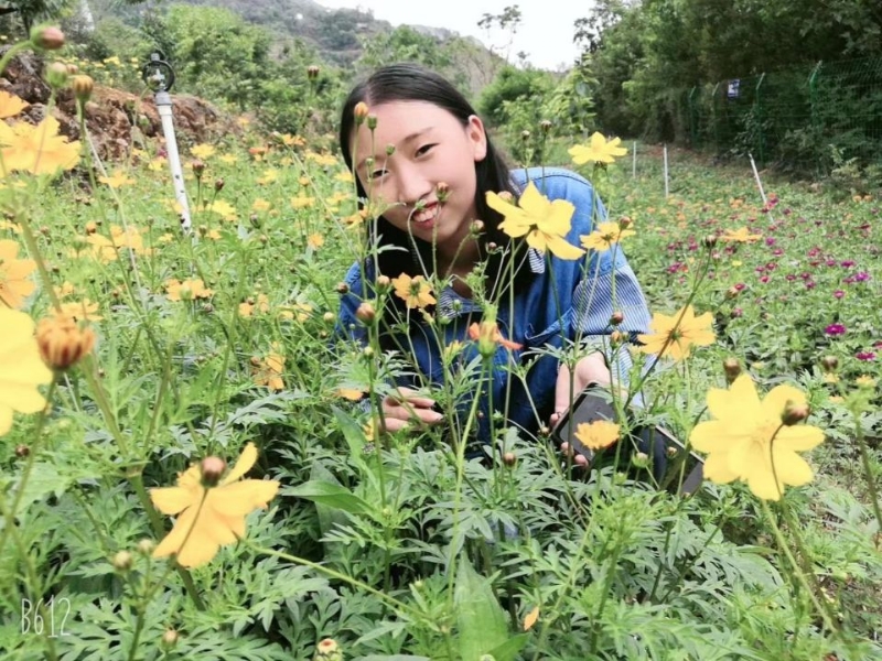 哈哈的第一张照片--烟台相亲服务中心