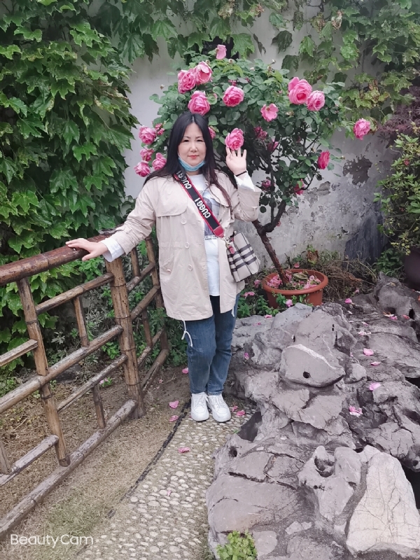 乖乖一女的第三张照片--烟台相亲服务中心