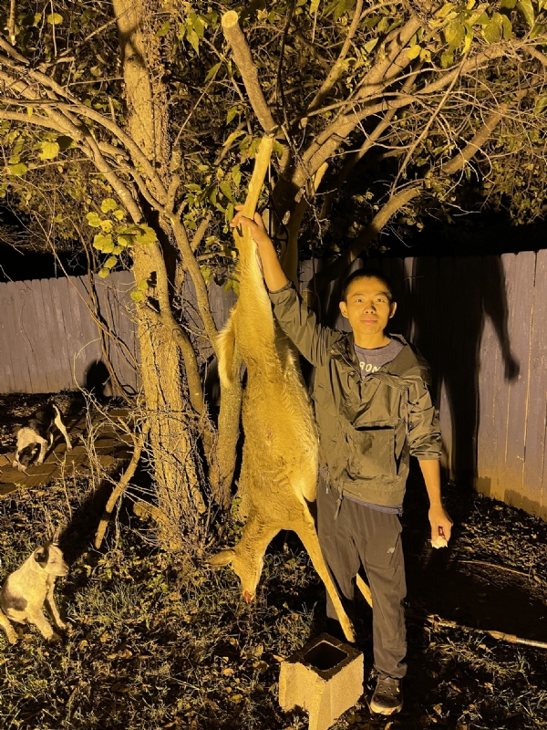 Kandy的第三张照片--烟台相亲服务中心