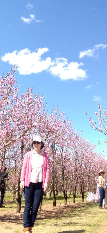 Grace的第二张照片--烟台相亲服务中心