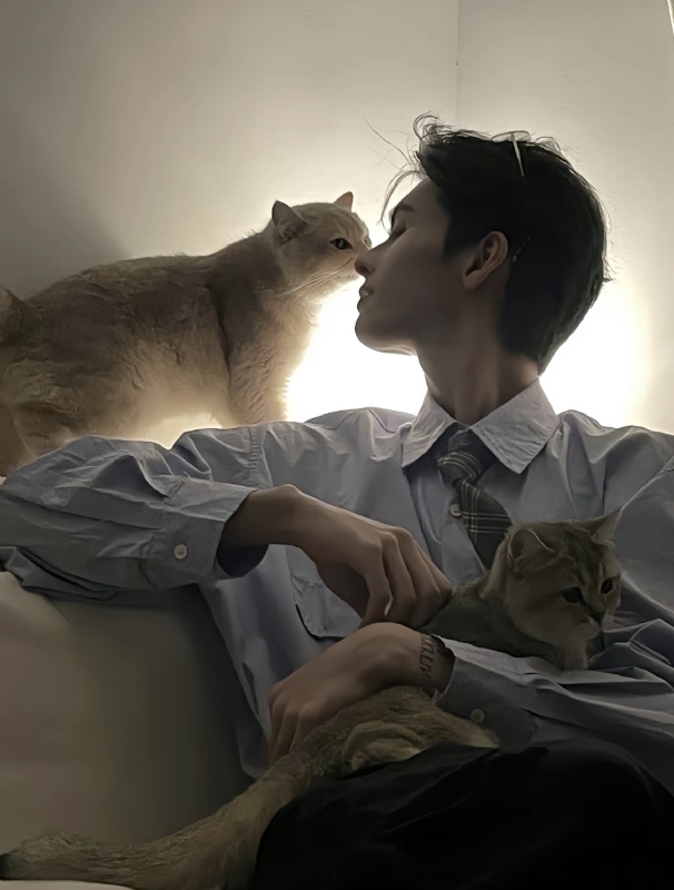 怪猫的第一张照片--烟台相亲服务中心