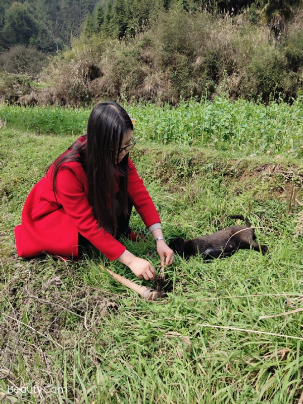 下一个春和秋的第一张照片--烟台相亲服务中心