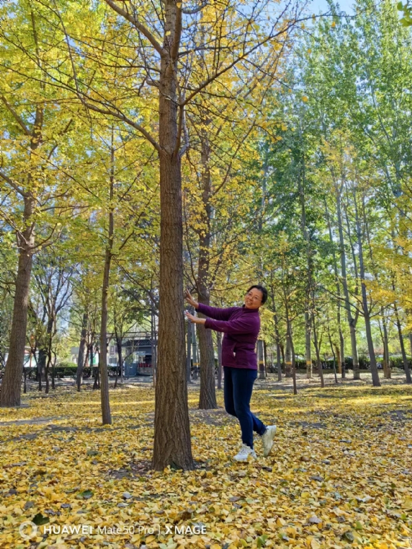 Shirley的第三张照片--烟台相亲服务中心