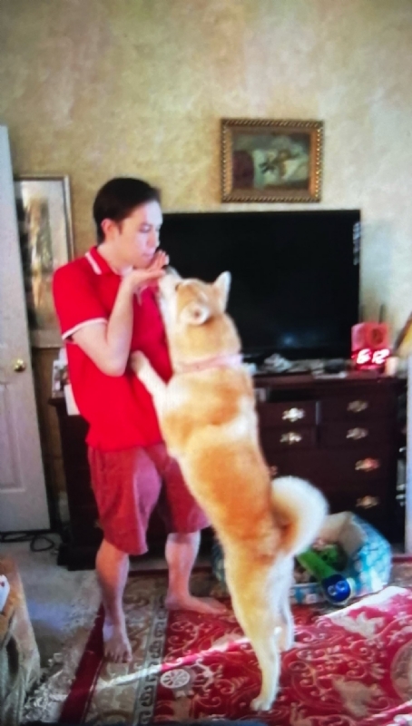 Leluch的第一张照片--烟台相亲服务中心