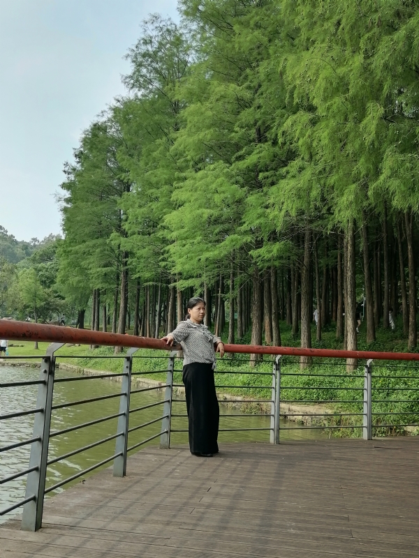 遗失的记忆的第二张照片--烟台相亲服务中心