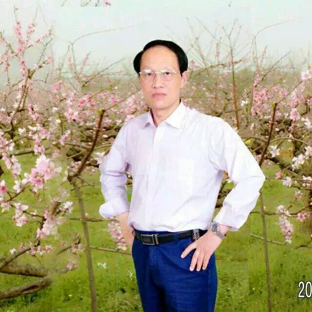 枫叶的第一张照片--烟台相亲服务中心