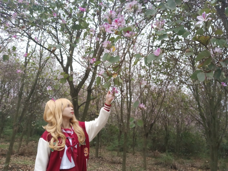 暮秋的第一张照片--烟台相亲服务中心