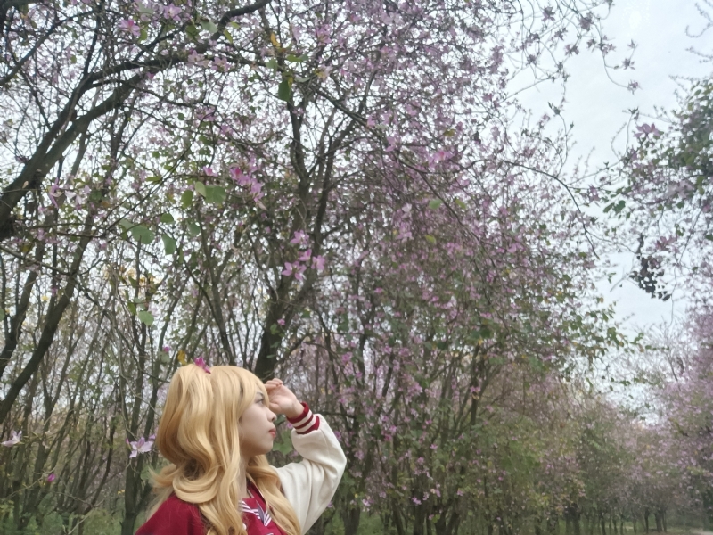 暮秋的第五张照片--烟台相亲服务中心