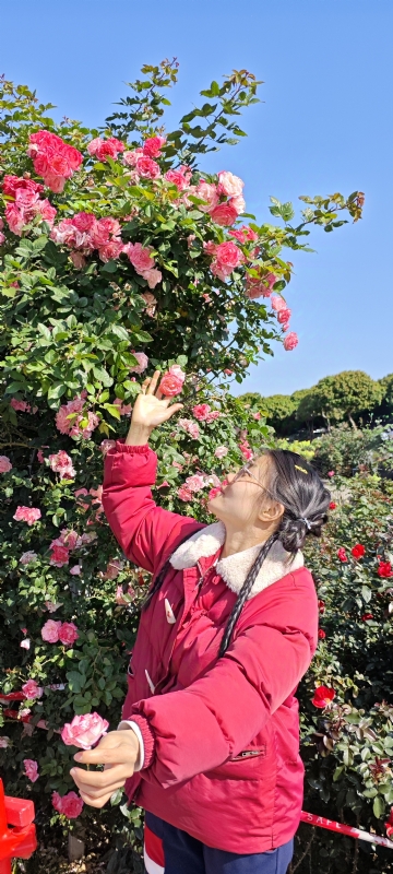 狗狗的第一张照片--烟台相亲服务中心